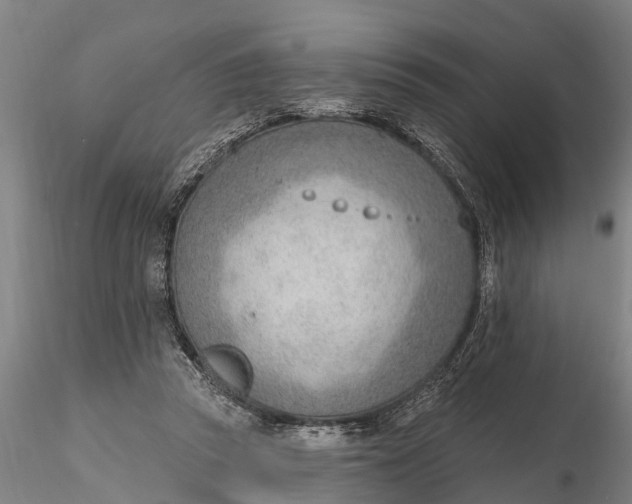 X0000116380353200912161506