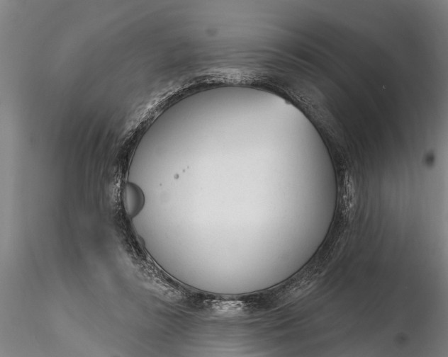 X0000116380355200912161506