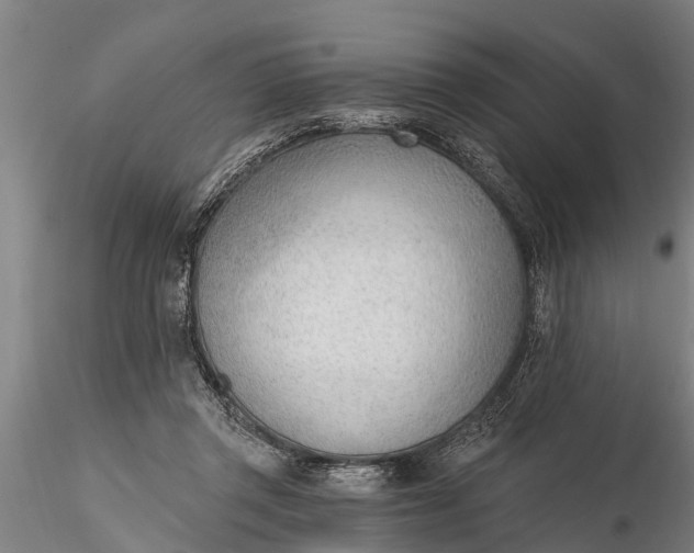 X0000116380357200912161506