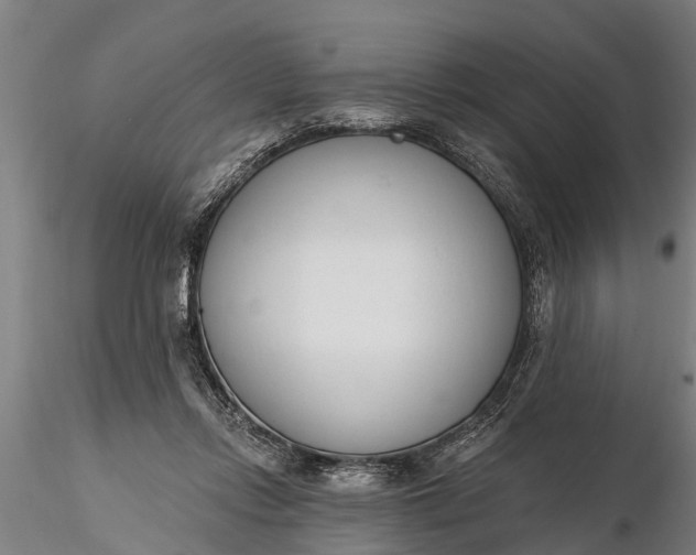 X0000116380358200912161506