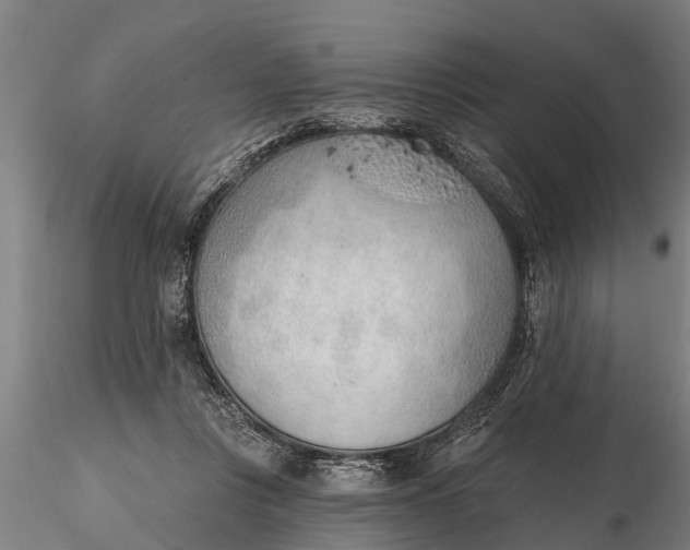 X0000116380359200912161506