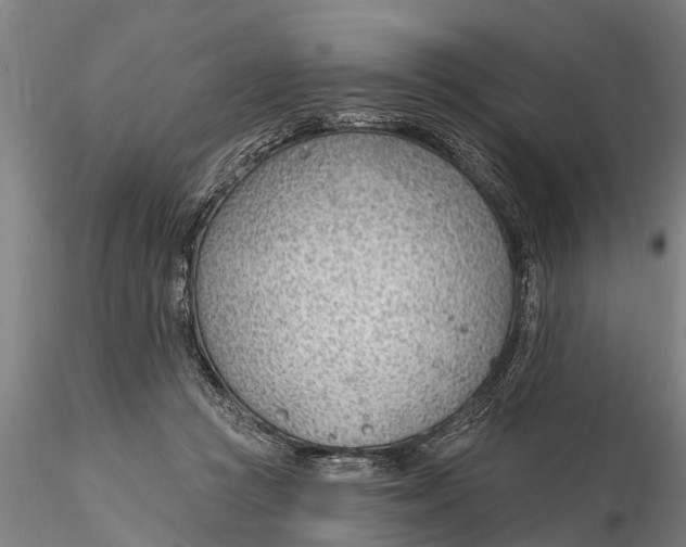 X0000116380361200912161506