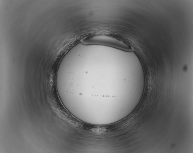 X0000116380362200912161506