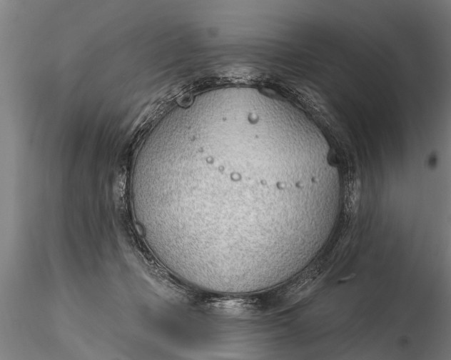 X0000116380365200912161506