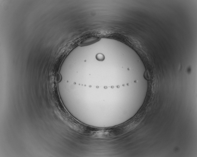 X0000116380366200912161506