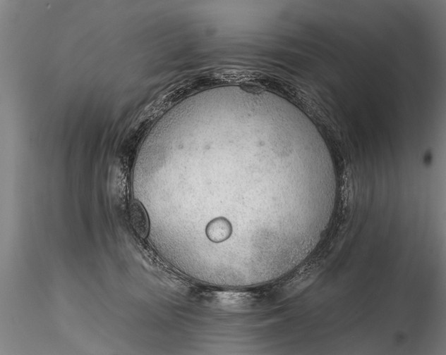 X0000116380371200912161506