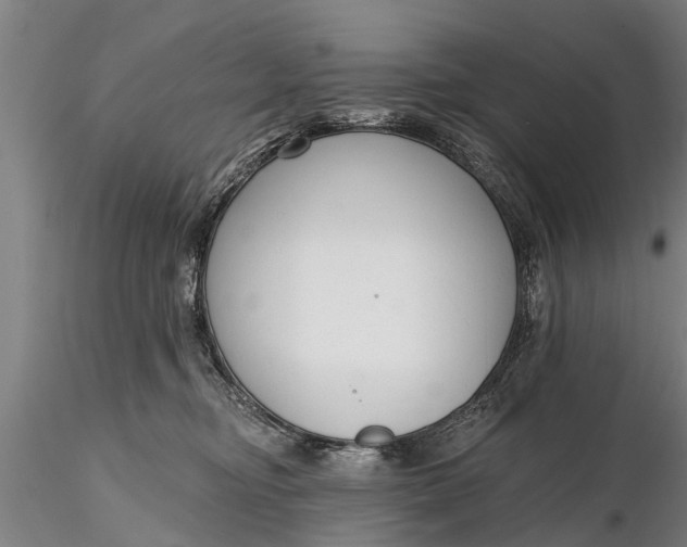 X0000116380374200912161506