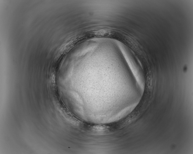 X0000116380375200912161506