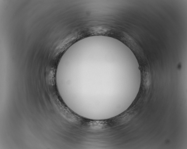X0000116380378200912161506