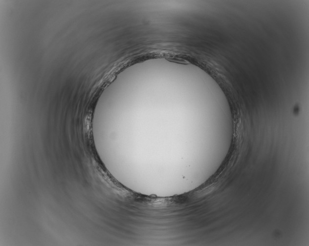 X0000116380382200912161506