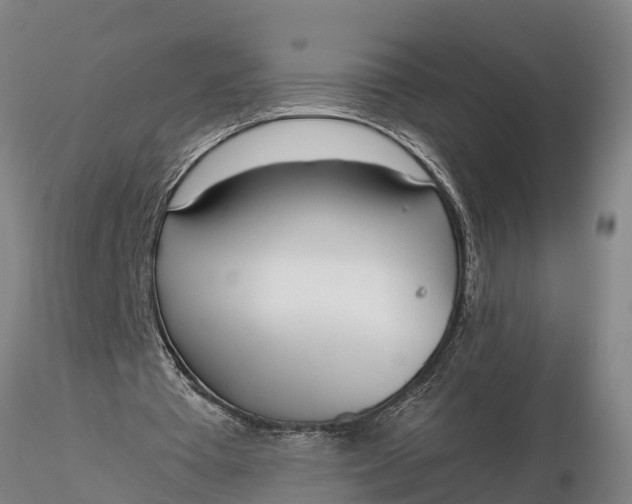 X0000116380385200912161506
