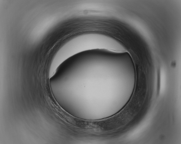 X0000116380387200912161506