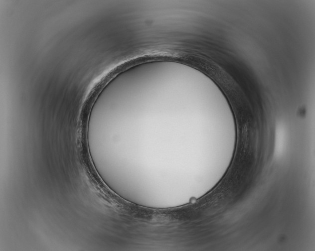 X0000116380388200912161506