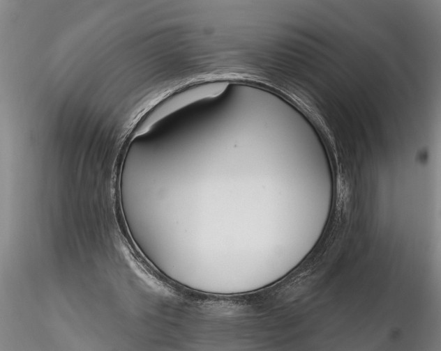 X0000116380389200912161506