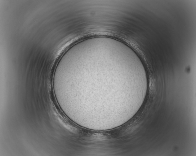 X0000116380390200912161506