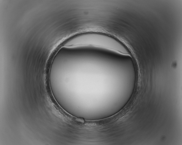 X0000116380391200912161506