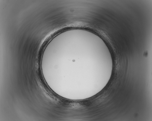 X0000116380392200912161506