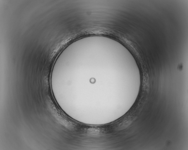 X0000116380394200912161506