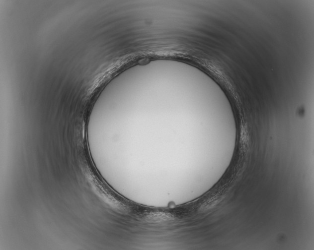 X0000116380397200912161505