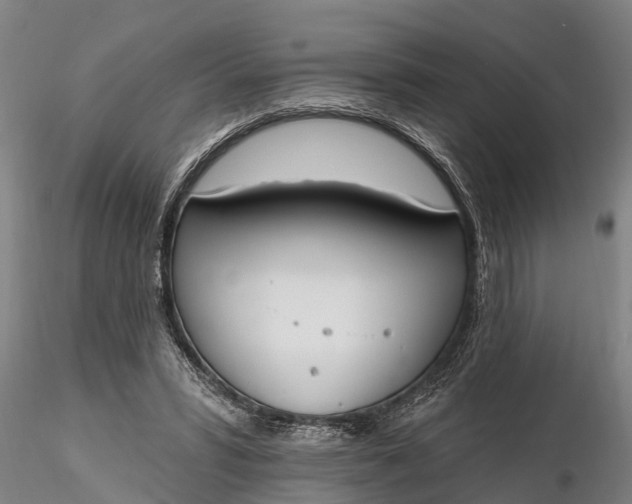 X0000116380399200912161505