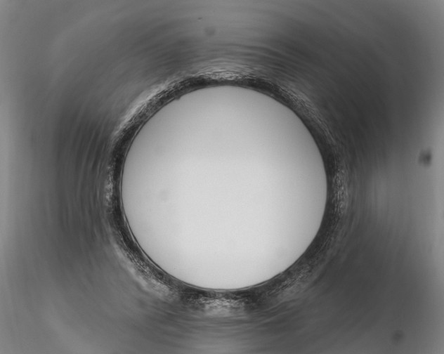 X0000116380400200912161505