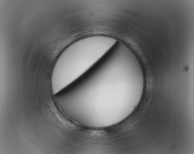 X0000116380401200912161505