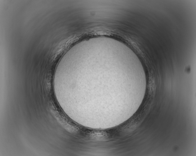 X0000116380402200912161505