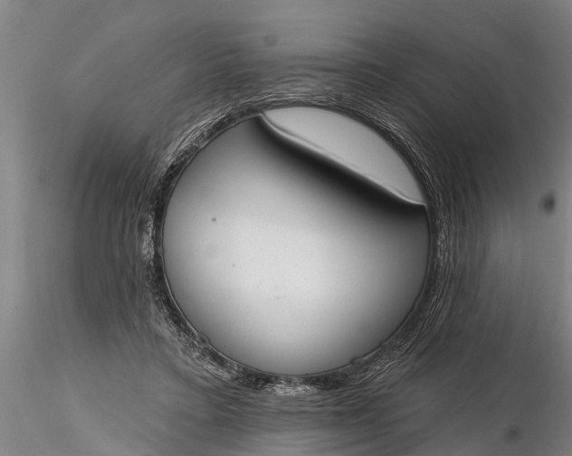 X0000116380403200912161505