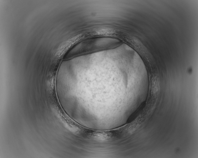 X0000116380405200912161505