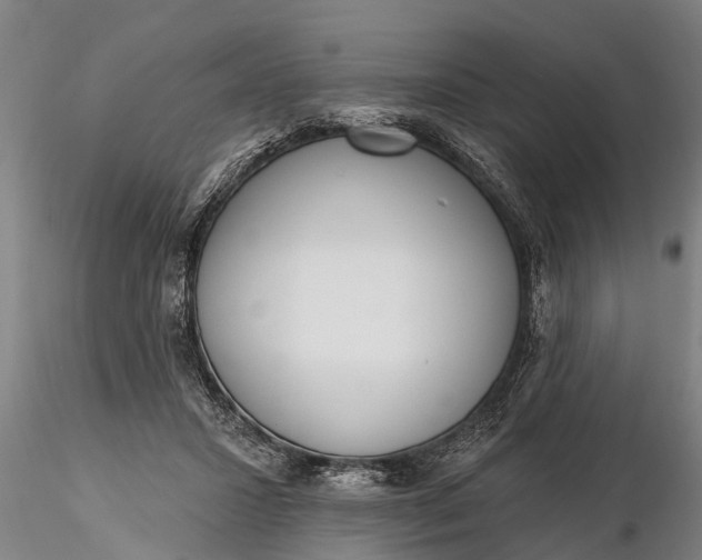 X0000116380407200912161505