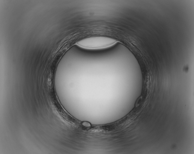 X0000116380408200912161505