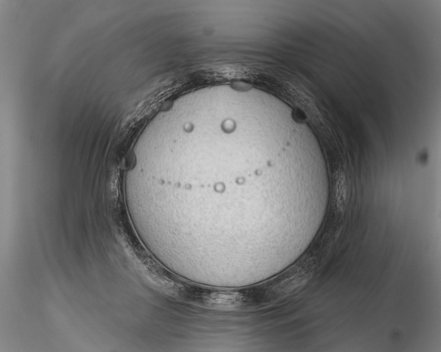 X0000116380410200912161505