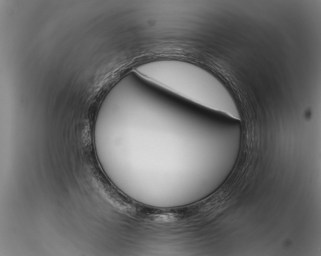 X0000116380411200912161505