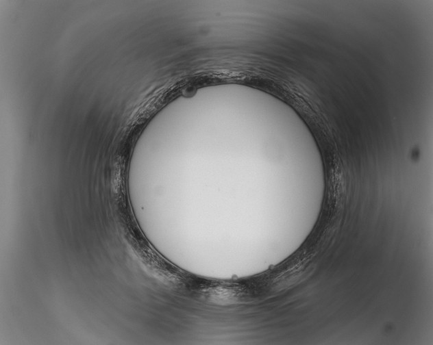 X0000116380412200912161505