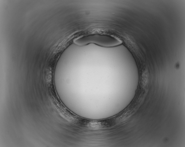 X0000116380413200912161505
