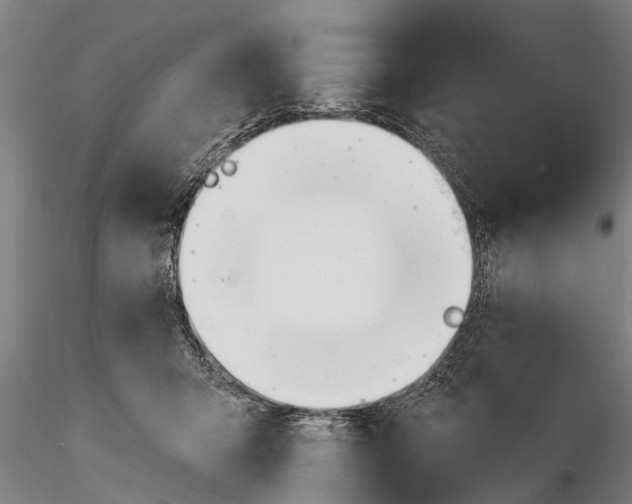 X0000116380415200912161505