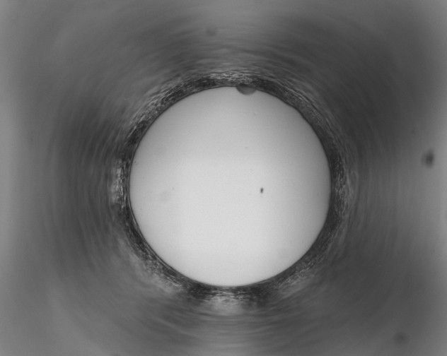 X0000116380416200912161505