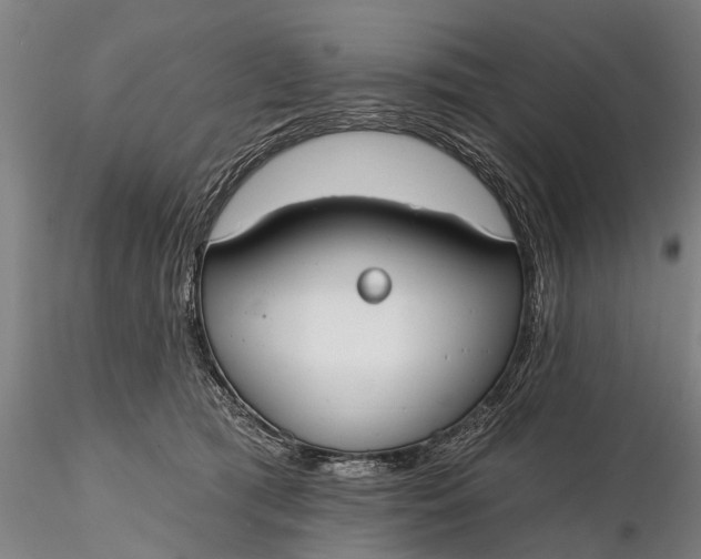 X0000116380417200912161505