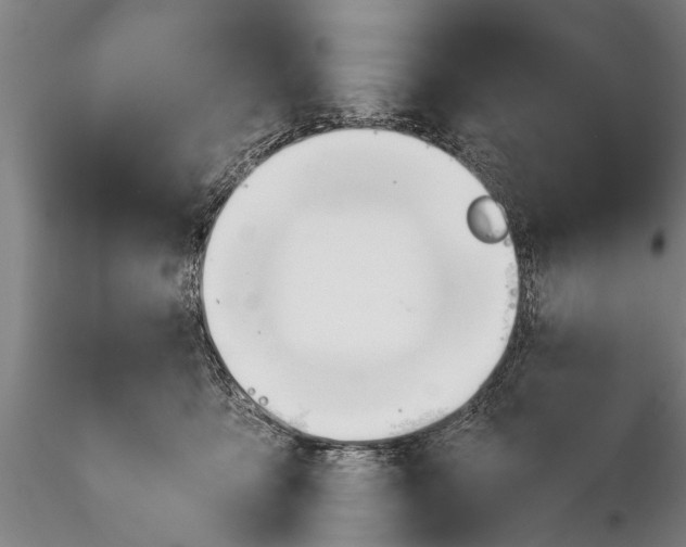 X0000116380419200912161505