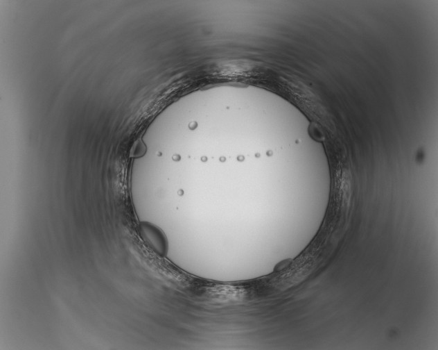 X0000116380421200912161505