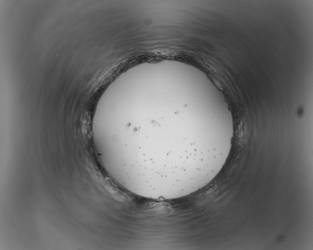 X0000116380424200912161505