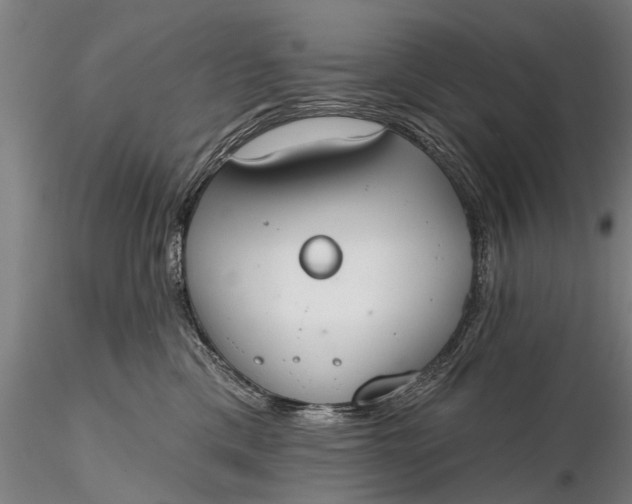 X0000116380425200912161505