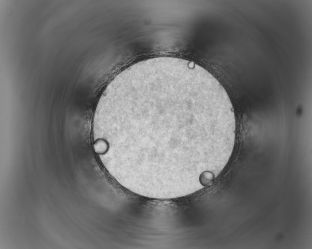 X0000116380427200912161505