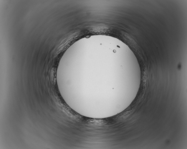 X0000116380428200912161505