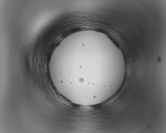 X0000116380429200912161505