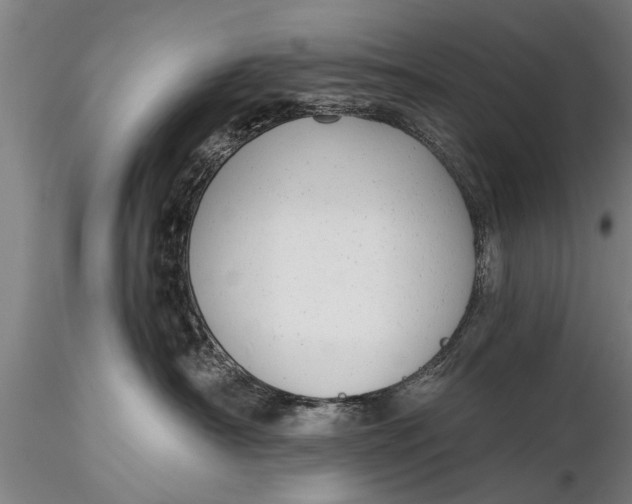 X0000116380430200912161505