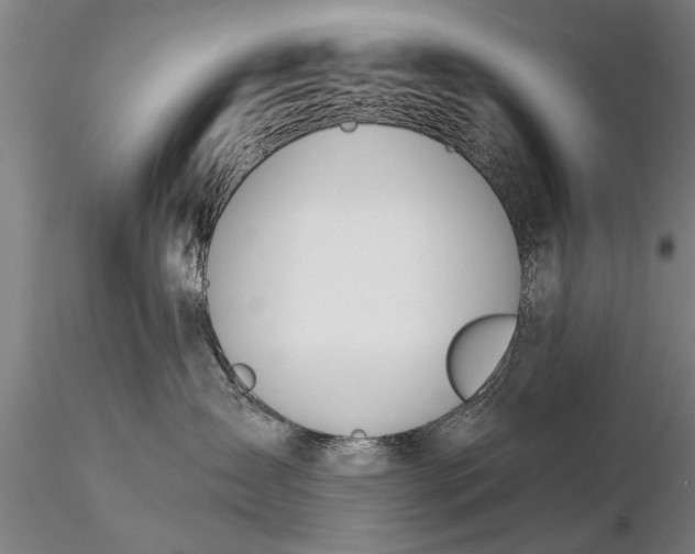 X0000116380431200912161505