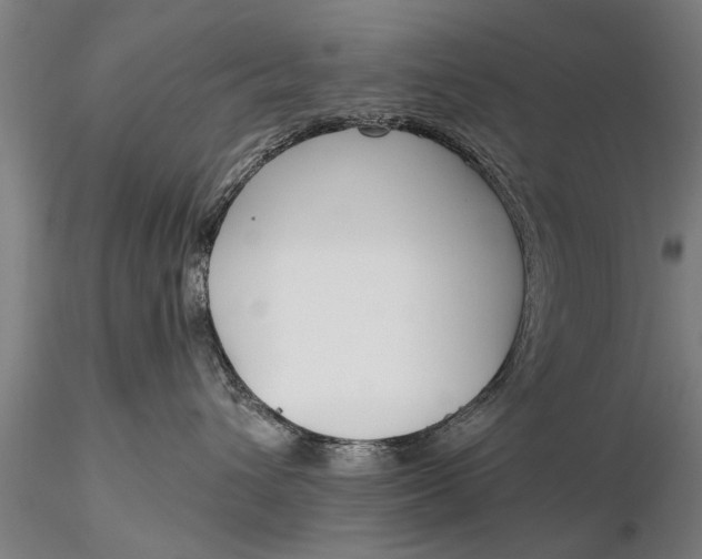 X0000116380432200912161505
