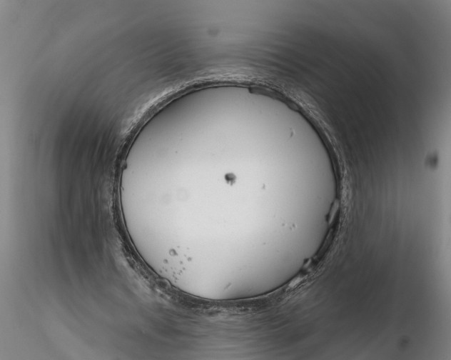 X0000116380434200912161504