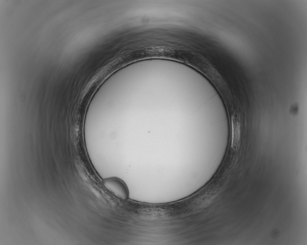 X0000116380435200912161504